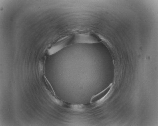 X0000084020192200703022106