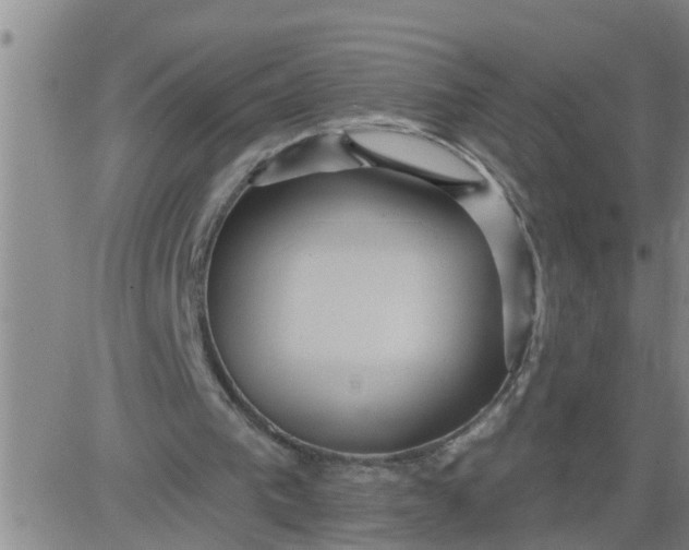 X0000084020193200703022106