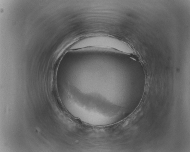 X0000084020194200703022105