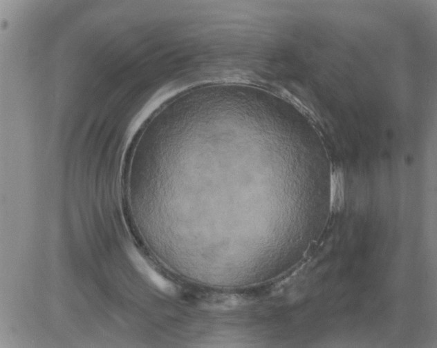 X0000084020195200703022105