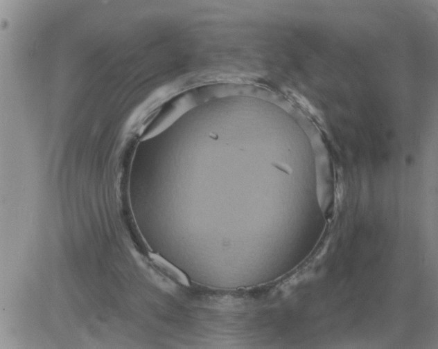 X0000084020197200703022105