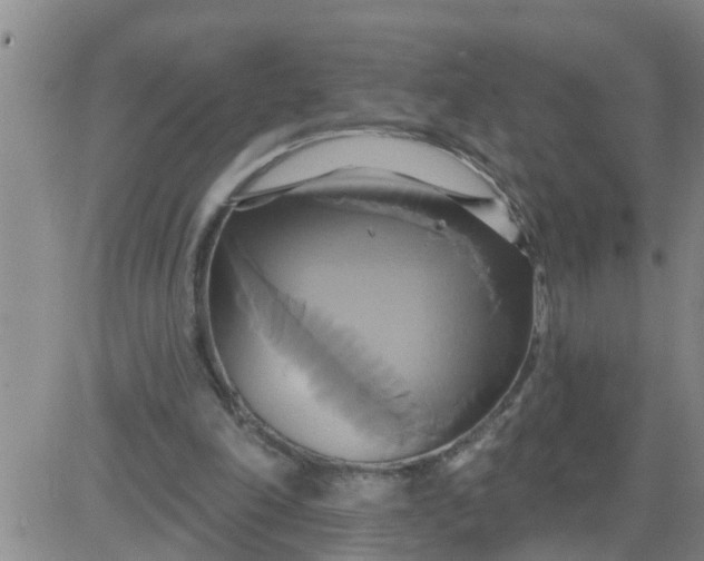 X0000084020198200703022105