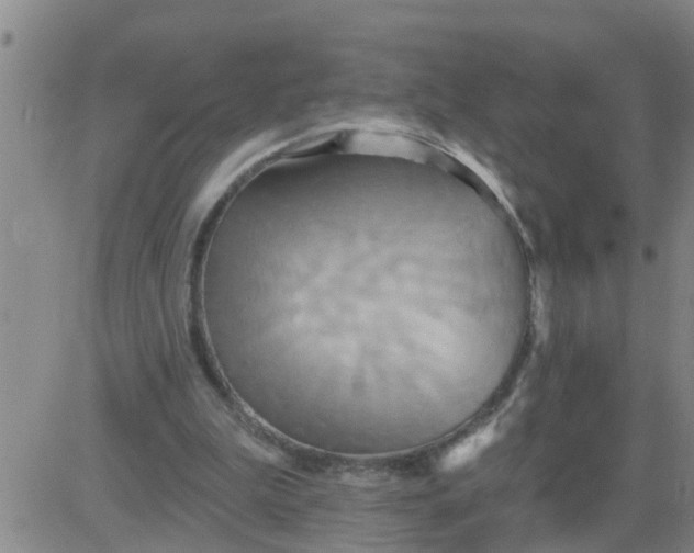 X0000084020199200703022105