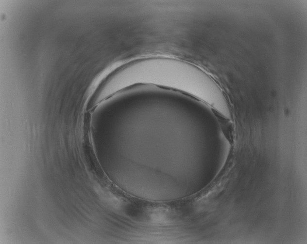 X0000084020200200703022105