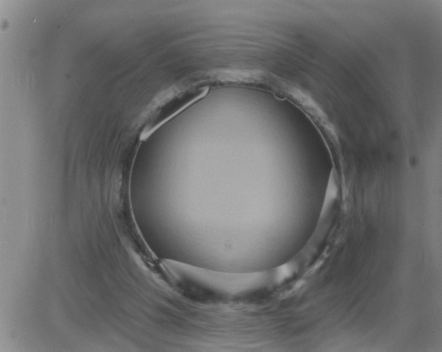 X0000084020201200703022105