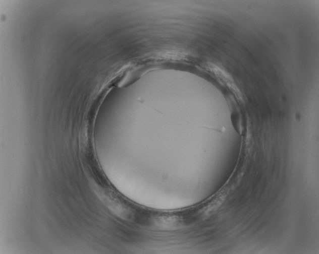 X0000084020202200703022105