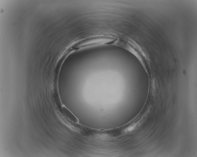 X0000084020203200703022105