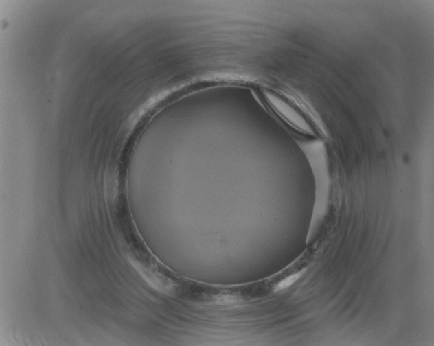 X0000084020204200703022105