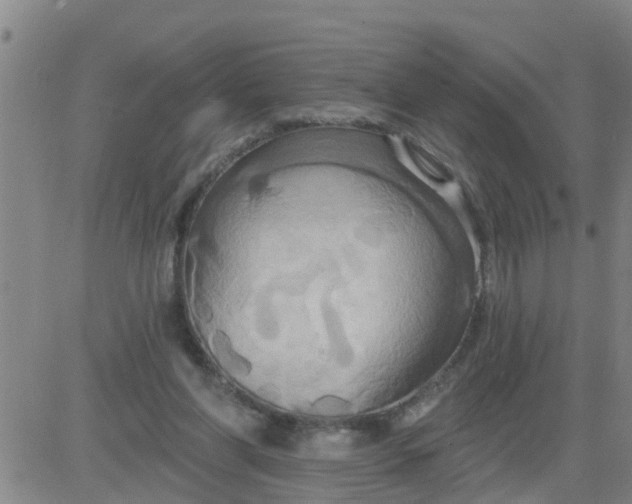 X0000084020206200703022105