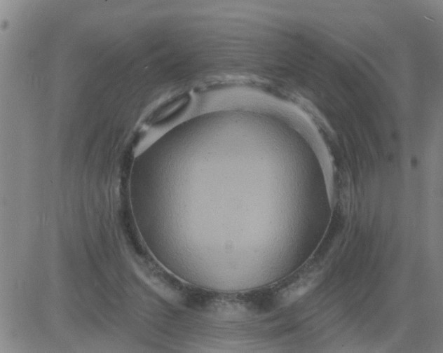 X0000084020207200703022105