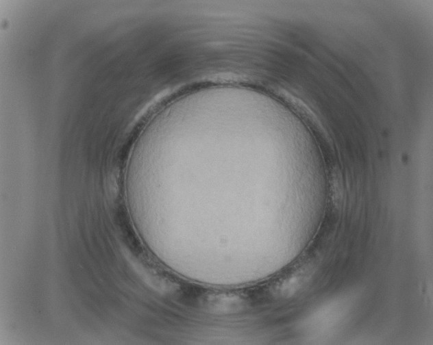 X0000084020208200703022105