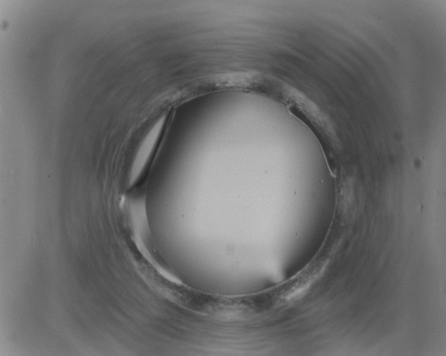 X0000084020209200703022105