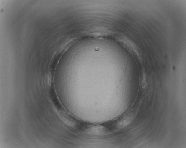 X0000084020210200703022105