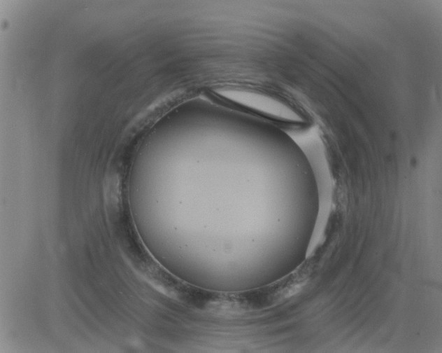 X0000084020211200703022105