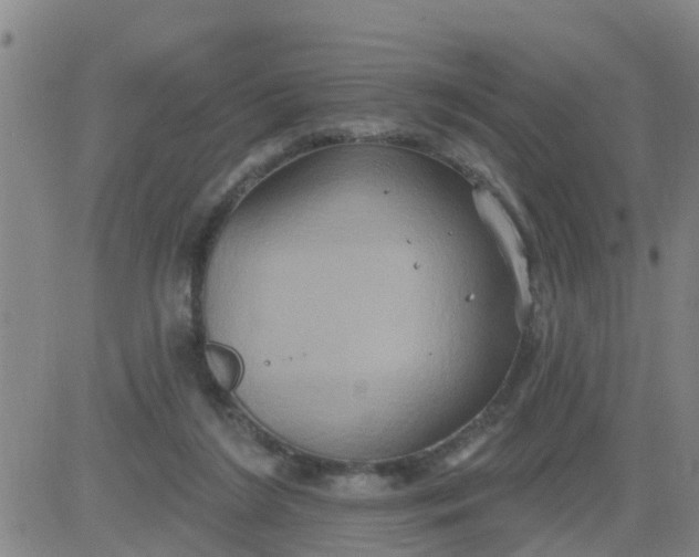 X0000084020212200703022105