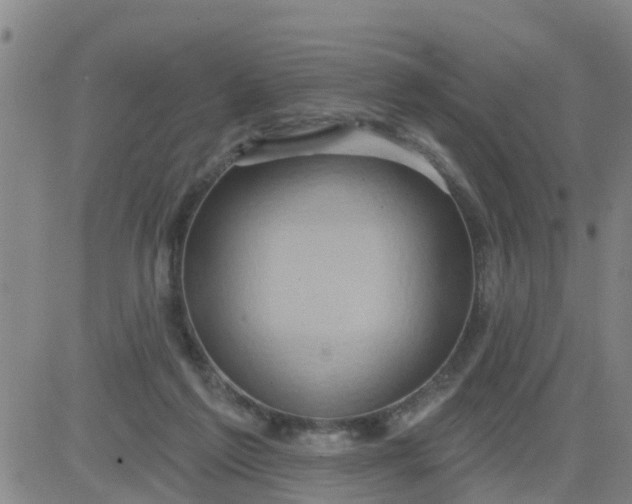 X0000084020213200703022105