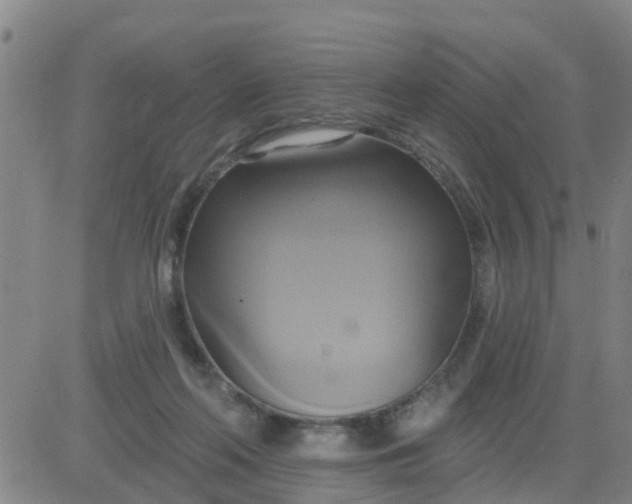 X0000084020214200703022105