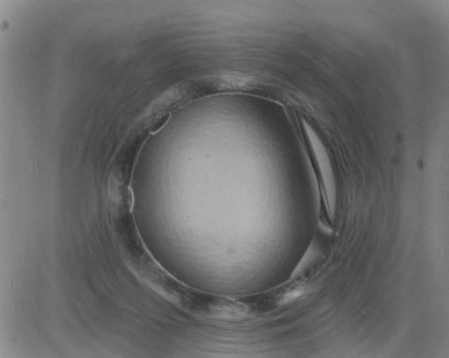 X0000084020215200703022105