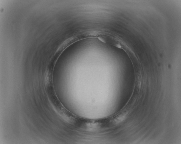 X0000084020216200703022105