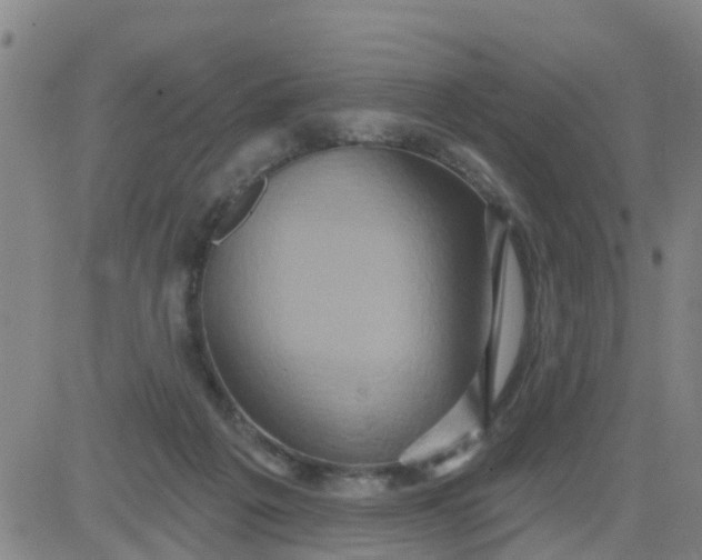 X0000084020217200703022105