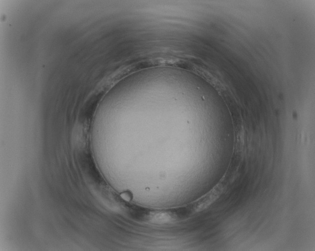 X0000084020218200703022105