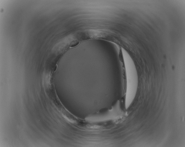 X0000084020219200703022105