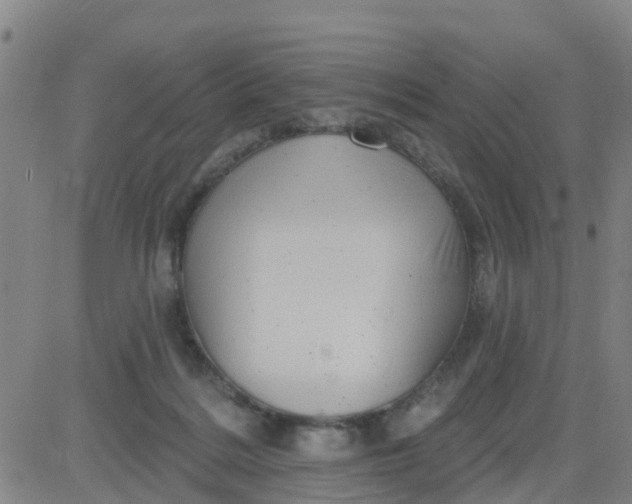 X0000084020220200703022105