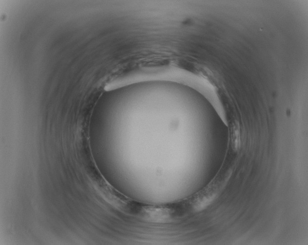 X0000084020221200703022105