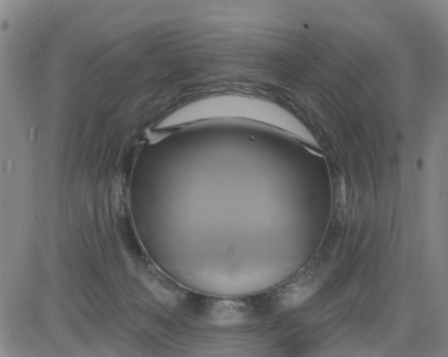 X0000084020222200703022105