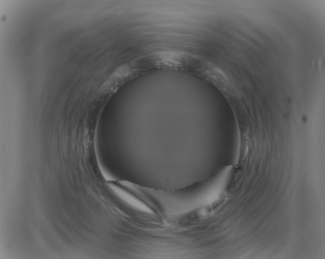 X0000084020223200703022105