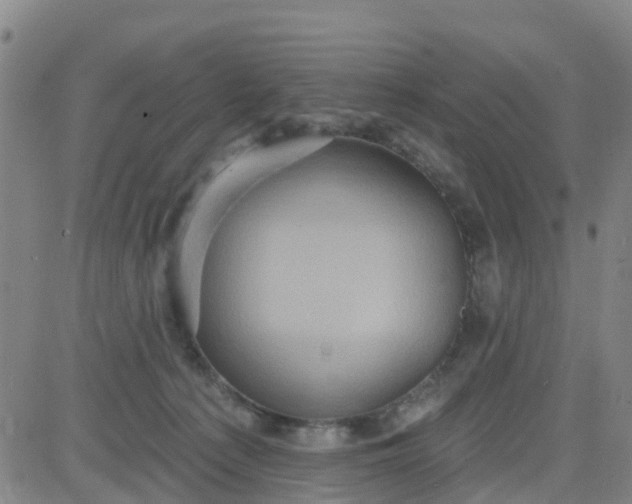 X0000084020225200703022105