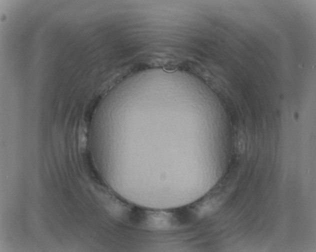 X0000084020226200703022105