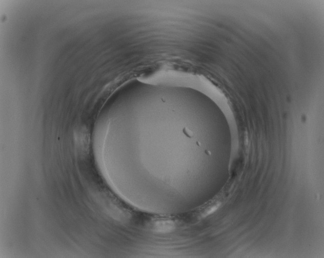 X0000084020228200703022105