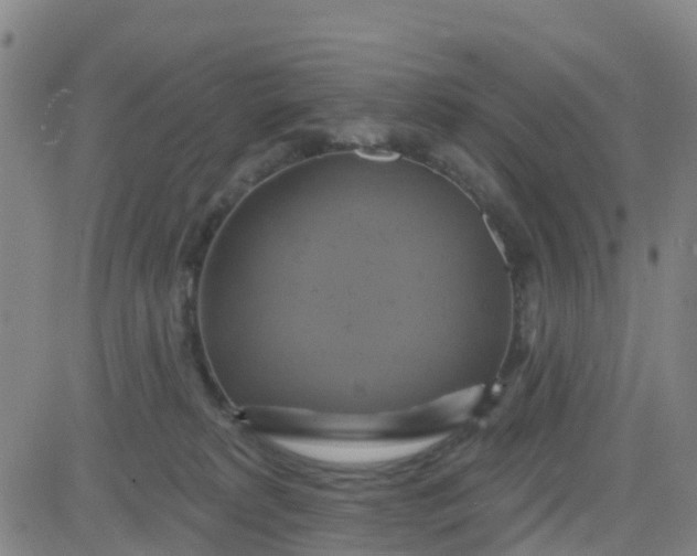 X0000084020229200703022105