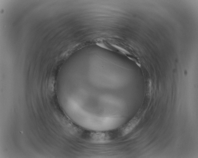 X0000084020230200703022105