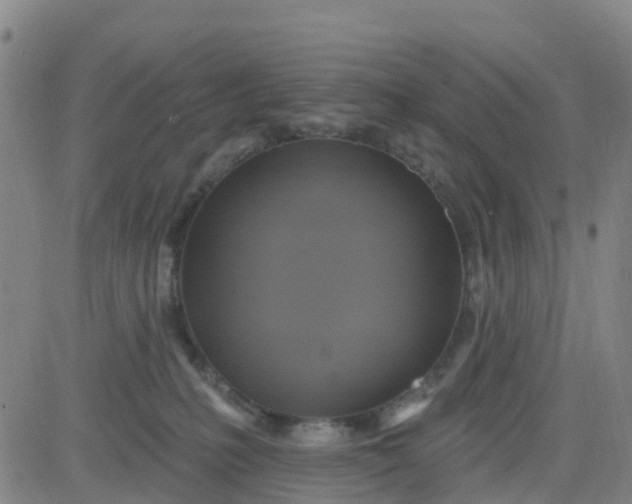 X0000084020231200703022105