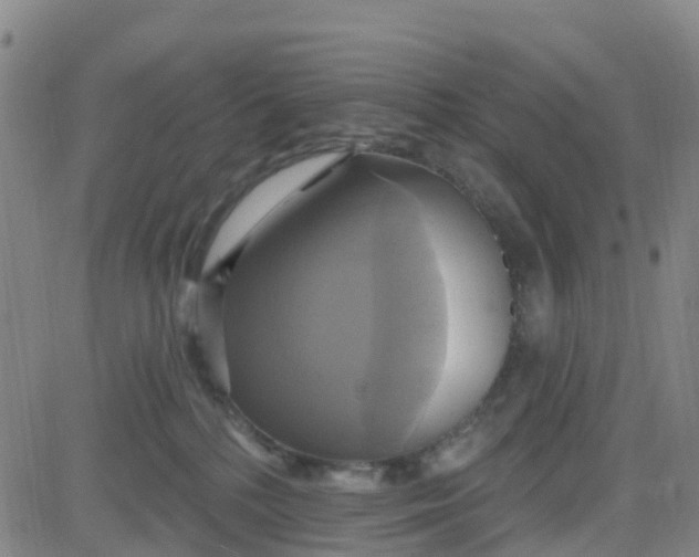 X0000084020232200703022105