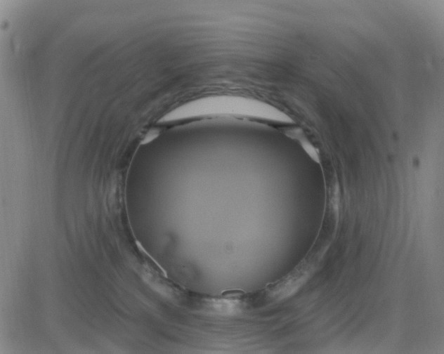 X0000084020233200703022105