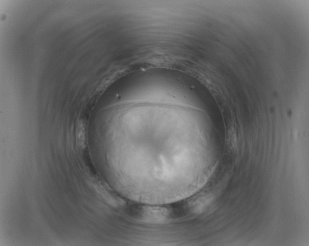 X0000084020234200703022105