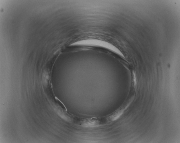 X0000084020235200703022105