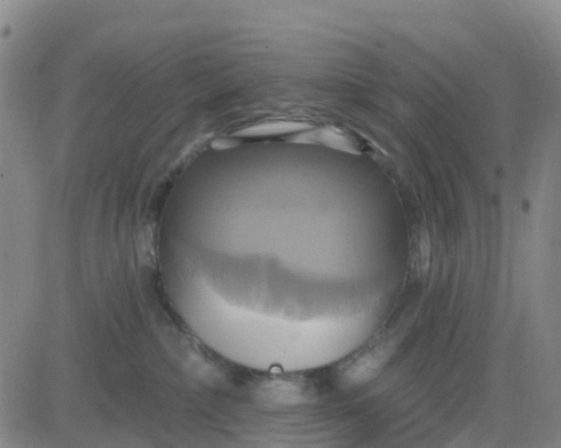 X0000084020236200703022105