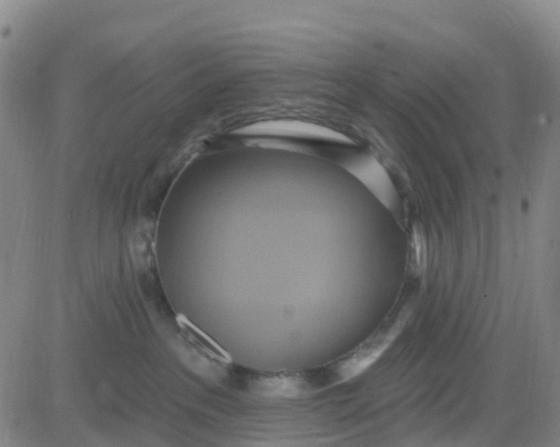 X0000084020237200703022105