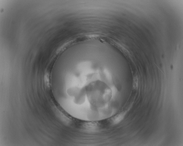 X0000084020238200703022105