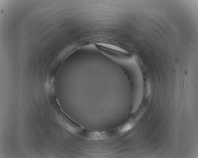 X0000084020239200703022105