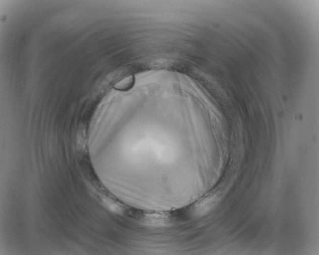 X0000084020240200703022105