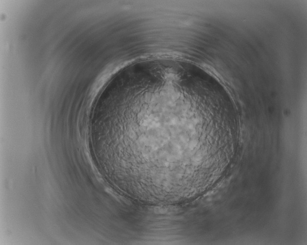 X0000084020241200703022104