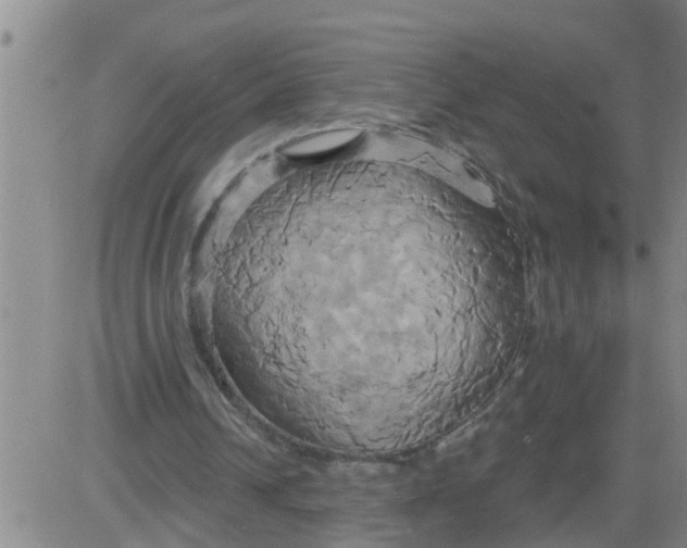 X0000084020242200703022104