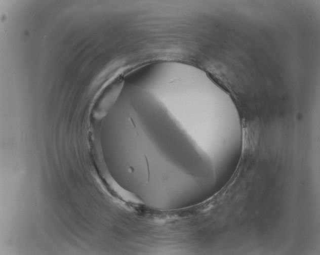 X0000084020243200703022104