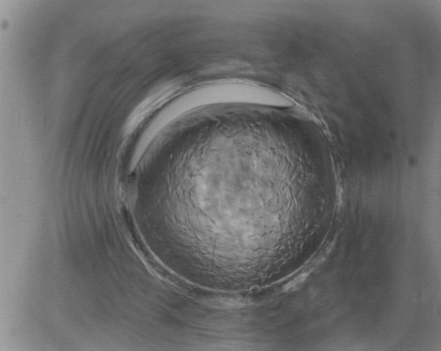 X0000084020245200703022104