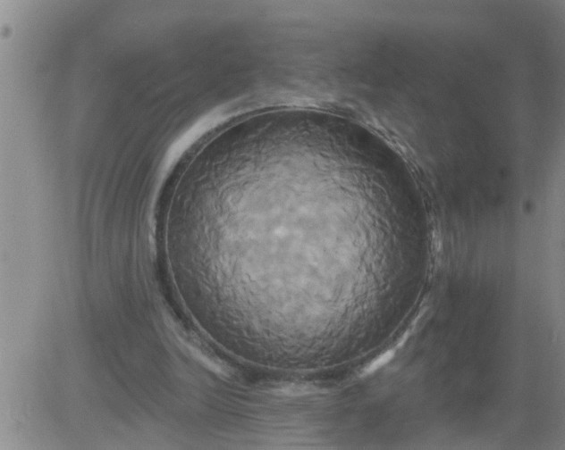 X0000084020246200703022104